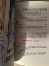 Load image into Gallery viewer, BIBLIOARA COPIILOR PETRU DEMETRU POPESCU