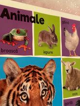 Încărcați imaginea în vizualizatorul Galerie, Primele 101 cuvinte Bebe invata