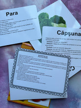 Încărcați imaginea în vizualizatorul Galerie, INVATAM PRIN JOC FRUCTELE SI LEGUMELE