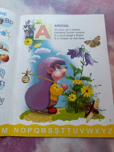 Load image into Gallery viewer, INVATAM IMPREUNA LITERELE SI CIFRELE PETRU GHETOI