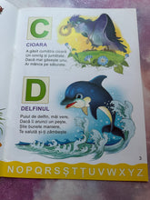 Load image into Gallery viewer, INVATAM IMPREUNA LITERELE SI CIFRELE PETRU GHETOI