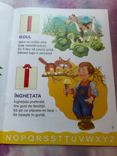 Load image into Gallery viewer, INVATAM IMPREUNA LITERELE SI CIFRELE PETRU GHETOI