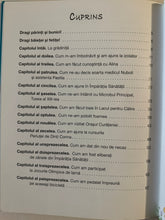 Încărcați imaginea în vizualizatorul Galerie, ABC-ul sanatatii Natalia Ciub