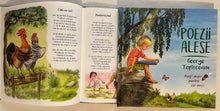 Încărcați imaginea în vizualizatorul Galerie, POEZII ALESE GEORGE TOPARCEANU