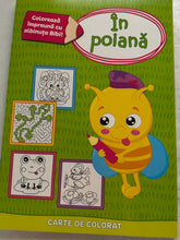 Load image into Gallery viewer, CARTE DE COLORAT