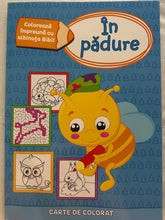 Load image into Gallery viewer, CARTE DE COLORAT
