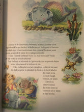 Încărcați imaginea în vizualizatorul Galerie, 25 DE POVESTI CU ANIMALUTE SIMPATICE