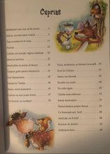 Încărcați imaginea în vizualizatorul Galerie, 25 DE POVESTI CU ANIMALUTE SIMPATICE