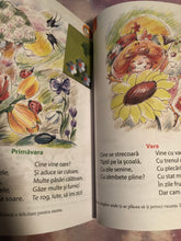 Încărcați imaginea în vizualizatorul Galerie, Caiet de comunicare in limba romana . Clasa pregatitoare . Activitati interdisciplinare