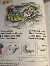 Încărcați imaginea în vizualizatorul Galerie, Caiet de comunicare in limba romana . Clasa pregatitoare . Activitati interdisciplinare