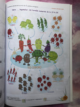 Încărcați imaginea în vizualizatorul Galerie, MATEMATICA SI EXPLORAREA MEDIULUI CLASA I VARIANTA A PARTEA I