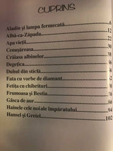 Încărcați imaginea în vizualizatorul Galerie, TEZAURUL CU POVESTI