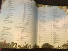 Încărcați imaginea în vizualizatorul Galerie, Biblia ilustrata pentru copii