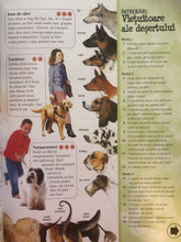 Încărcați imaginea în vizualizatorul Galerie, ENCICLOPEDIA COPILULUI DESTEPT