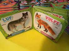 Load image into Gallery viewer, ANIMALE SALBATICE