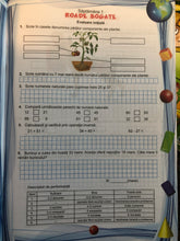 Încărcați imaginea în vizualizatorul Galerie, MATEMATICA SI EXPLORAREA MEDIULUI PENTRU CLASA A II A caiet de lucru