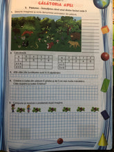 Încărcați imaginea în vizualizatorul Galerie, MATEMATICA SI EXPLORAREA MEDIULUI PENTRU CLASA A II A caiet de lucru