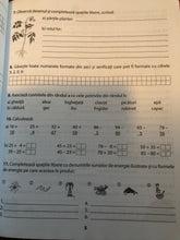 Încărcați imaginea în vizualizatorul Galerie, MATEMATICA SI EXPLORAREA MEDIULUI CLASA A 2 A CAIETUL ELEVULUI CORINT BOOKS