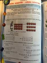Încărcați imaginea în vizualizatorul Galerie, MATEMATICA SI EXPLORAREA MEDIULUI PENTRU CLASA A II A caiet de lucru