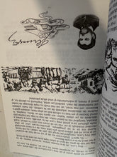 Încărcați imaginea în vizualizatorul Galerie, CARTILE COPILARIEI ANTOLOGIE LITERARA
