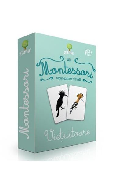 VIETUITOARE RECUNOASTERE VIZUALA MONTESSORI